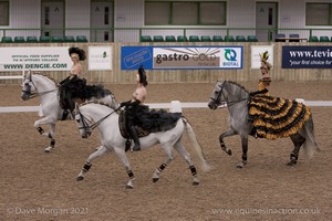 Lusitano Breed Society of Great Britain Show - Hartpury College - 27th June 2009